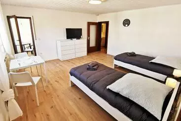 ツーリストアパートメント 1 Room Apartment In Rodgau Near Frankfurt