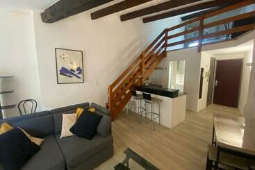 관광객 아파트 Le Cocon D Avignon   T2 Duplex 40m2   Centre Historique Intra Muros  Wifi Climatisation