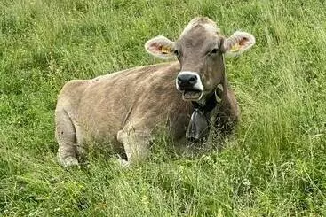 Turistihuoneistot Schöne Aussichten