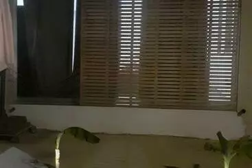 Apartamenty turystyczne Ariadnis 3 Beds Apt