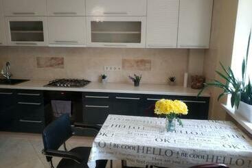 游客公寓 Vip апартаменти центр