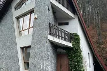 Apartaments turístics Villa Predeal