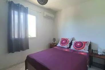 آپارتمان‌های توریست‌ها Le Frangipagnier Appartement T2 Centre Ville