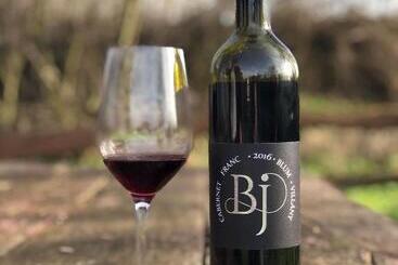 호텔 Blum Pince   Borozó Vendégház