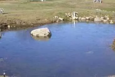 Hotelli Alynn S Butterfly Inn Bed & Breakfast