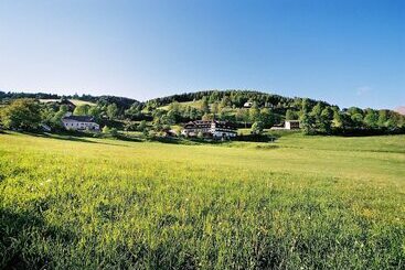 فندق Stigenwirth