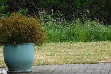 בית מלון כפרי The Anchorage Cottages