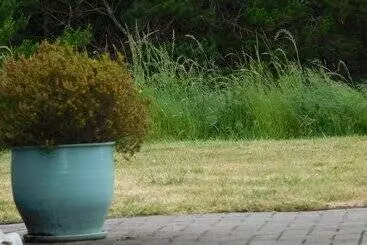 ホテル The Anchorage Cottages