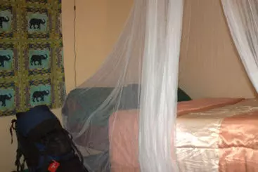 هاستل Zinga Backpackers