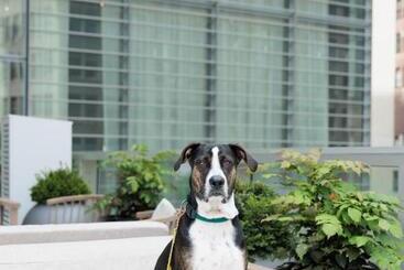 Virgin Hotels New York City