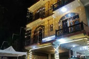 ペンション Kasolwoods Cafe & Stay, Main Market, Old Kasol