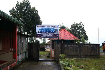 Stay Inn Ribsweet Treetop B&b