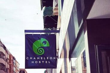 Chameleon Youth Hostel Alicante