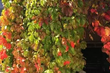 Aamiaismajoitus (B&B) Chambres Table D Hotes Carpe Diem