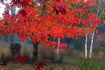 بنسيون La Maison & L Atelier