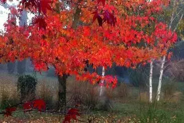 ペンション La Maison & L Atelier