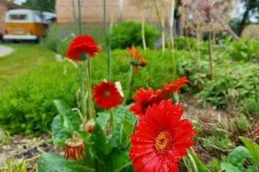 Aamiaismajoitus (B&B) Vakantiewoning Victors Hof Tot 4 Pers