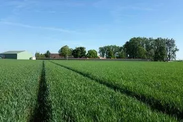Ferme De Mesangeon