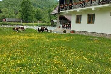 Pensiunea Muntele Gaina