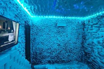 Pension (Hôtel basse catégorie) Zestrea Bunicilor