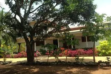 Pansiyon Neem Tree Villa