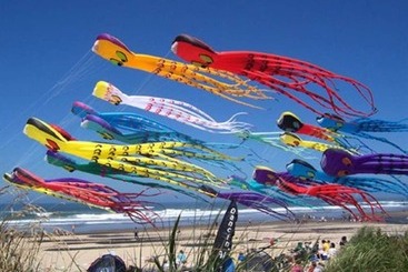 Bed and Breakfast Salmonberry Inn & Beach House