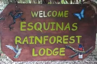 酒店 Esquinas Rainforest Lodge
