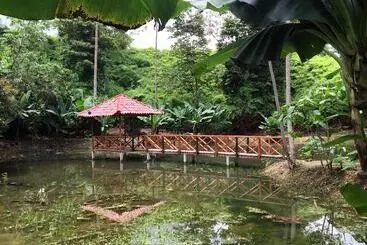 Отель Esquinas Rainforest Lodge