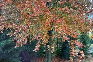 Pension Willa Pod Bukami