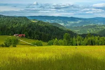 Domek Na Obidzy