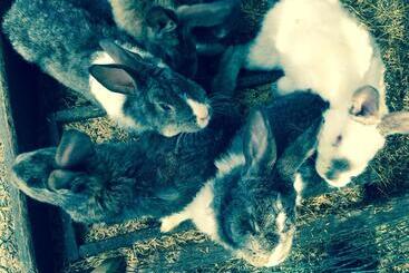 Pension Apartamenty I Pokoje Aneta