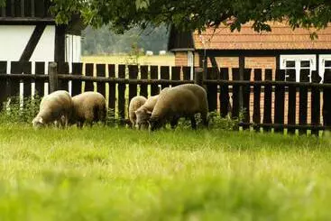 Pension Przystań Twórców