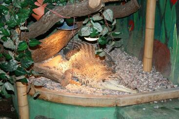 ベッドアンドブレックファースト Auto Port Przytoczna