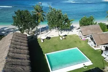 Resort La Belle Hollow Trees