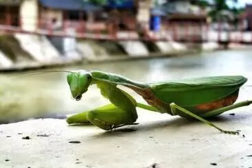 Majatalo Tour & Travel Guide