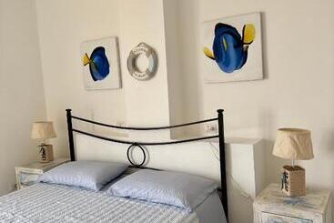 Bed and Breakfast The Roofport