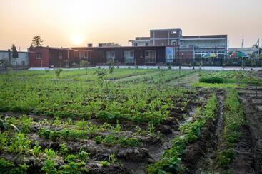 Hotel Innbox Farmstay   Rajpura Punjab