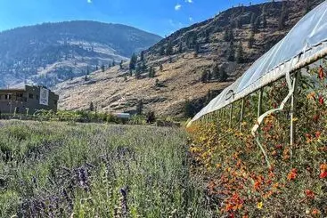 Hotelli Tree To Me Inn