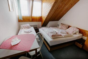 旅馆 Penzión Sova