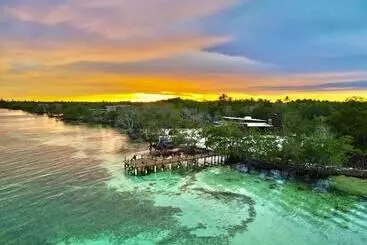 ペンション Medusa Hostel Isla Tintipan