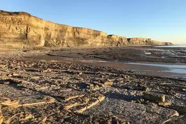 ペンション Woodlands Coastal Apartment