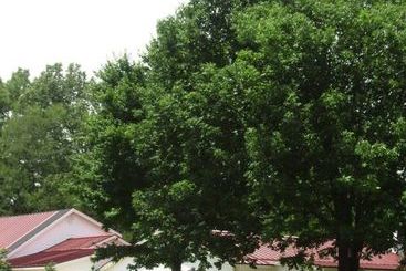 Bed and Breakfast Meadow View Farm