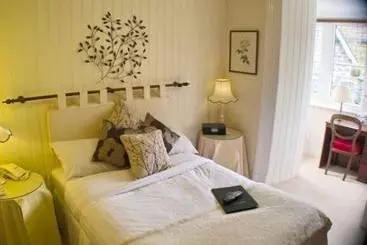 Bed and Breakfast Plas Dolmelynllyn Country