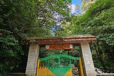 Young Monk Hostel & Cafe Jibhi