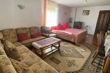 Pensjonat Casa Otilia