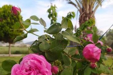 Апартаменты Ktima Anastasia