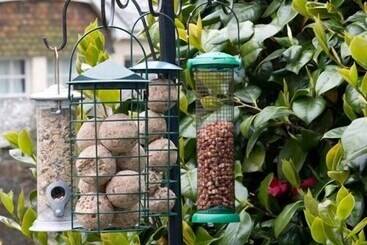 膳宿费 Lyonesse Guest House