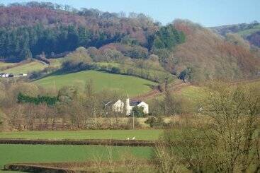 Glangwili Mansion Luxury 5 Star Bed & Breakfast