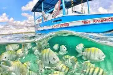 בית מלון כפרי Angá Beach