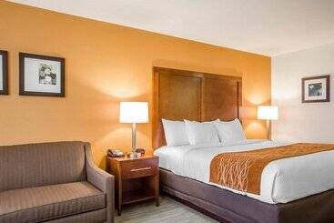 فندق Comfort Inn